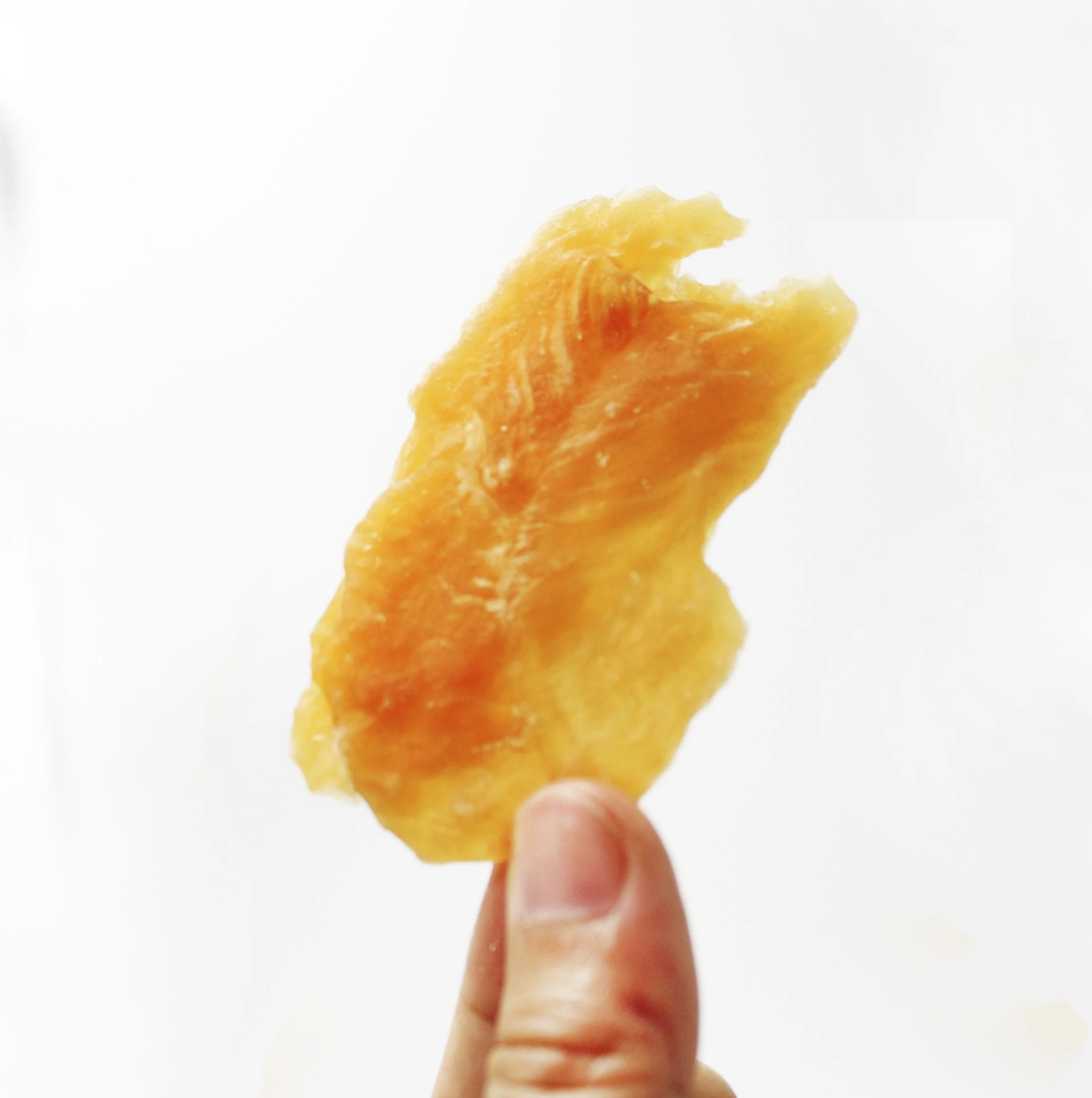 Meaty Slice cheap factory dog dry food