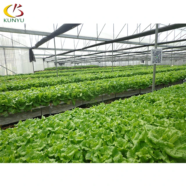 
Large sales square pvc tube for agriculture lettuce strawberry hydroponic growing system for greenhouse and indoor farming 