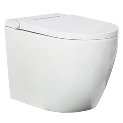 China supplier sanitary ware automatic electric back to wall ceramic smart intelligent toilet