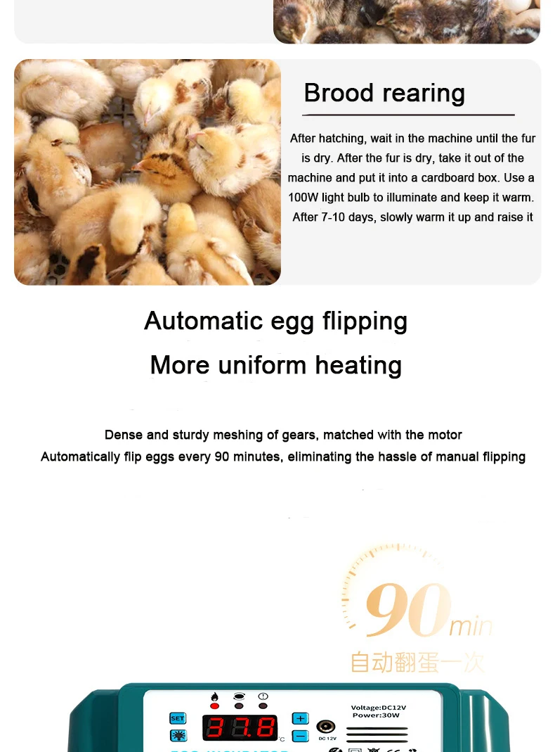 Factory Supplied High Hatching Rate Dual Power Multi-functional Incubators Hatching Eggs Automatic Egg Incubator For Eggs
