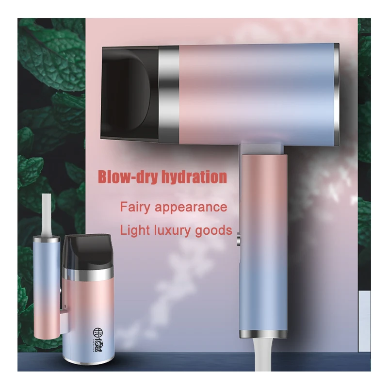 Professional Hair Dryer Motor Low Noise One Step Hair Dryer Travel Mute Ionic Hair Dryer