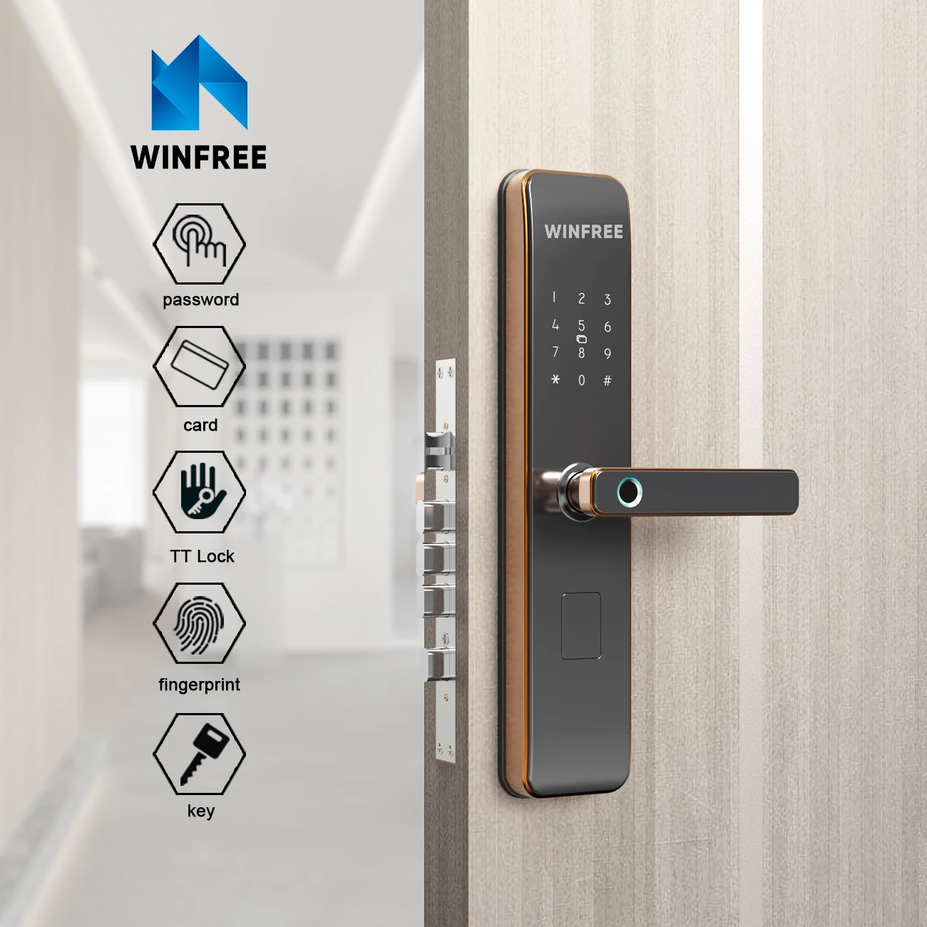 Guangdong WINFREE Fingerprint Lock Electric Password Intelligent TTlock Bluetooth Security Door Touch Keypad