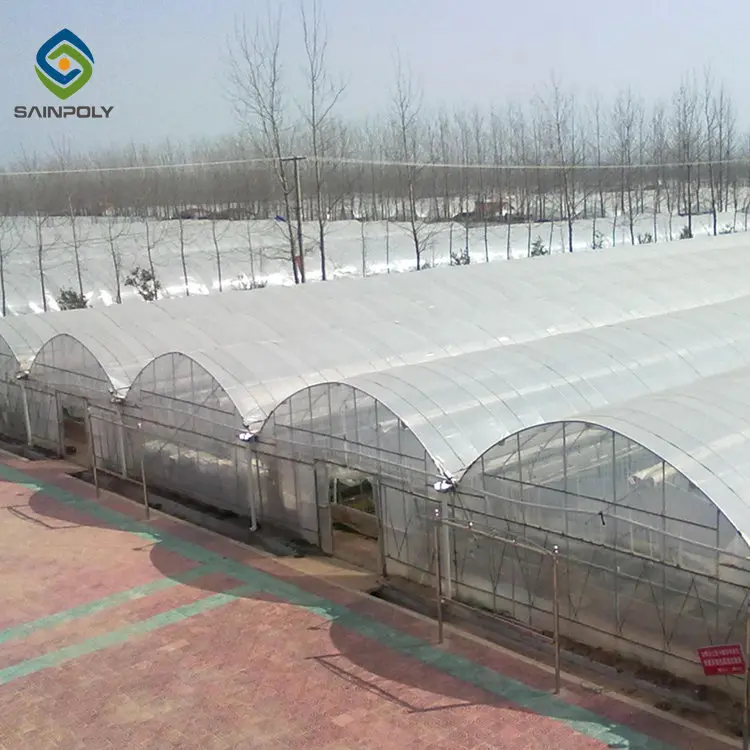 1 acre greenhouse pvc film green house for tomato growing