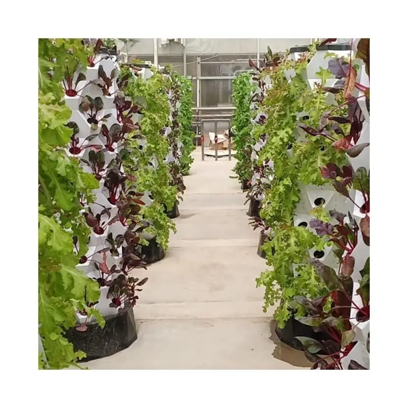 Container Hydroponics Clone Bucket Aeroponics Mist System Hydroponic Growing Systems Hydroponics Tower Vertical Dreiwasse