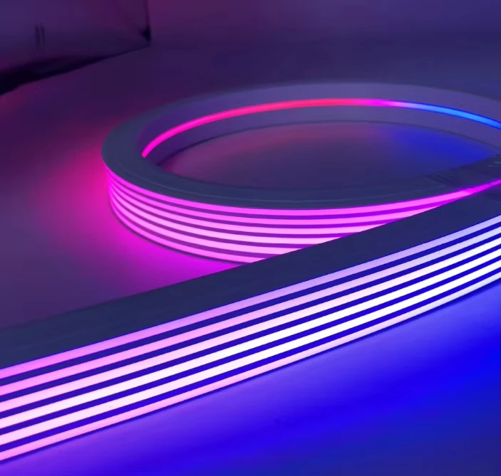 China Neon Strip Full Color RGB IC High Lumens 12V Rgb 30x20mm Led Neon Flex Strip Light For Ceiling