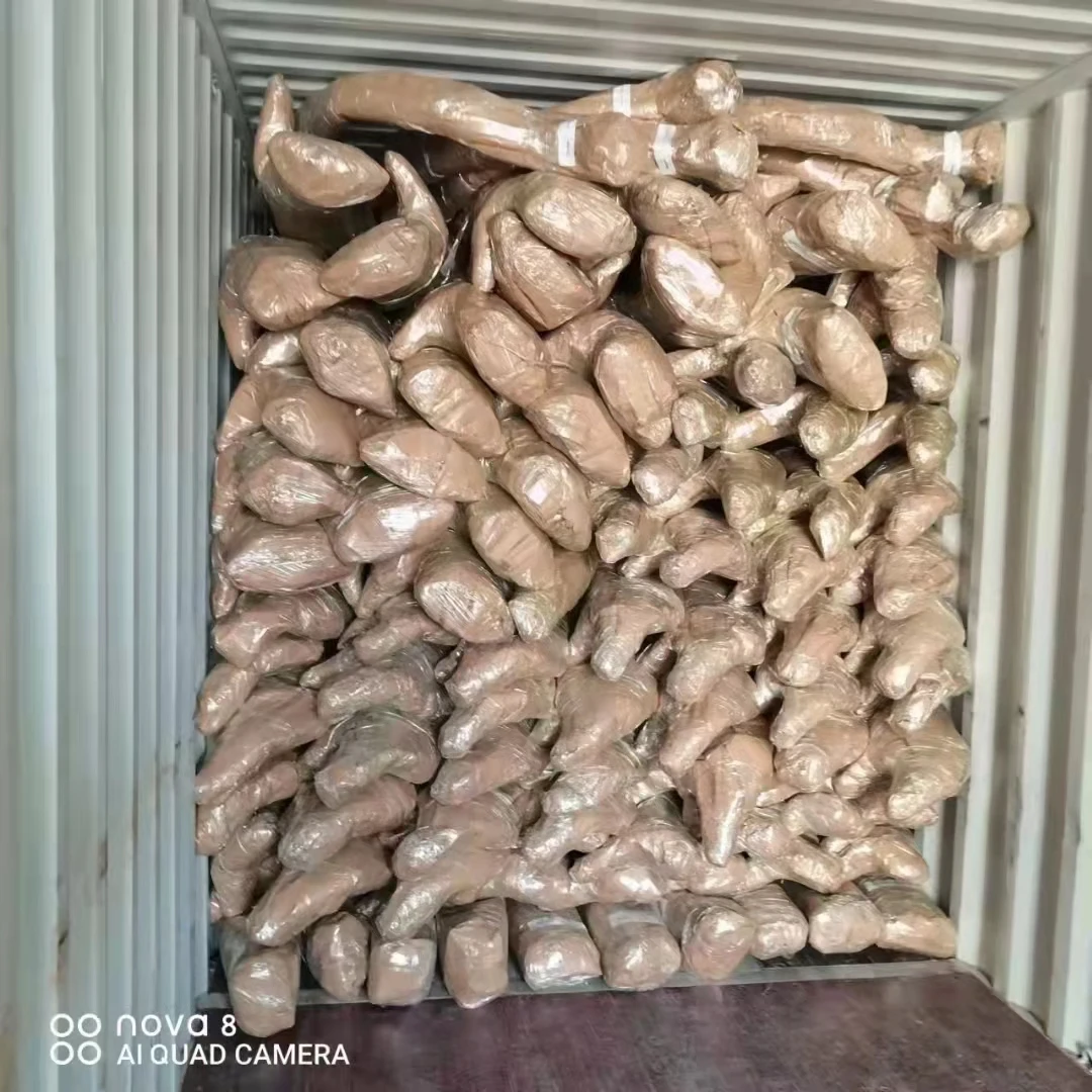 JFC-41248 Toyota FJ Cruiser(with light) Front Bumper