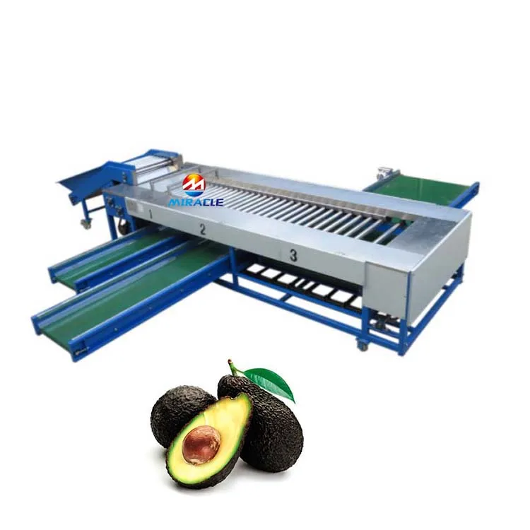 5 grading sweet potato avocado sorting machine tomato sorting machine