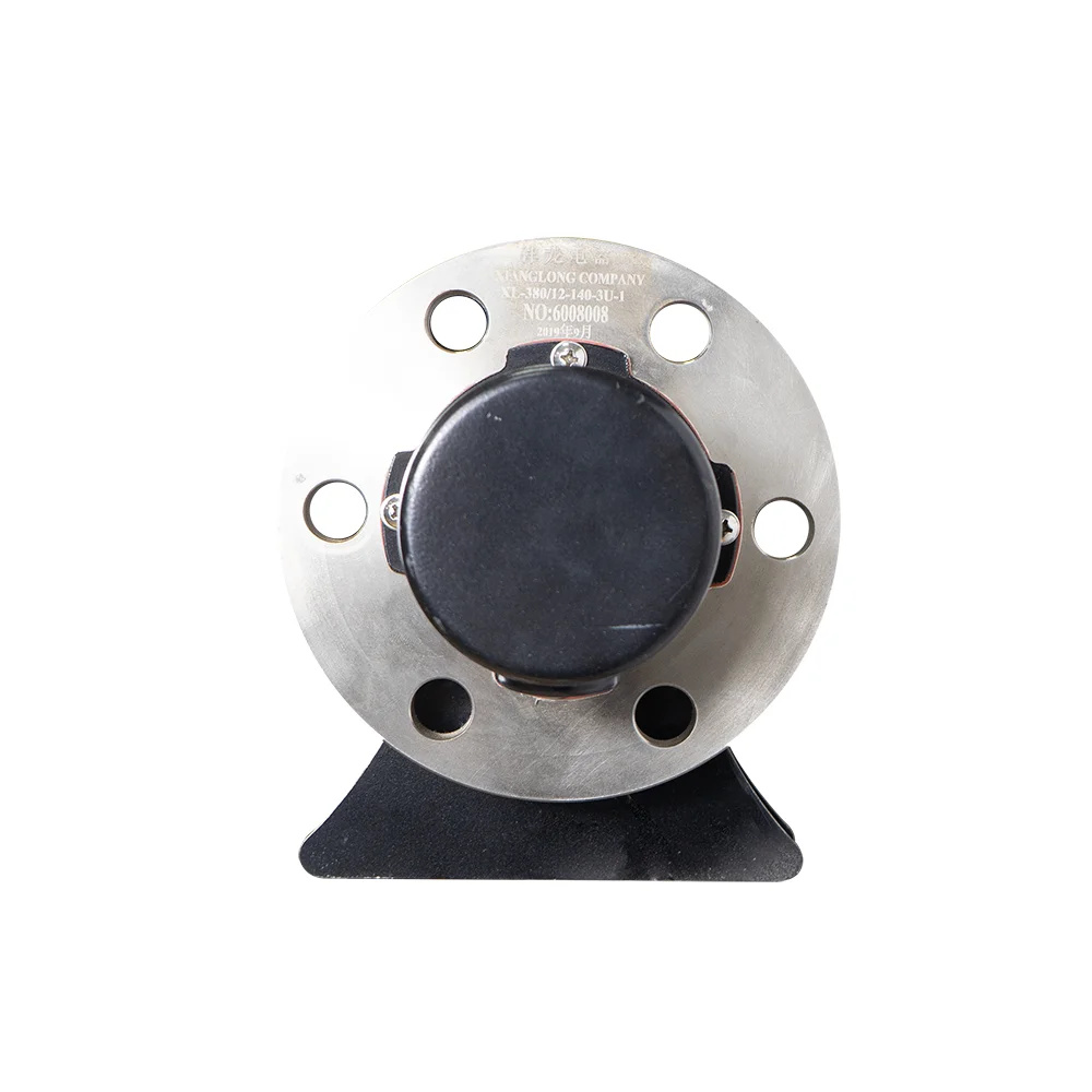 Stainless Steel 12KW or Customized Industrial Hot Water Tank Flange Heater