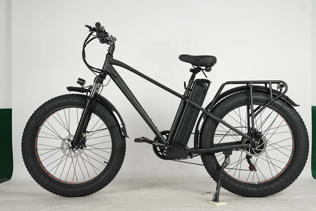 Eu Stock hot selling customized 48v Mountain Electric Bike Fat Tyre  Full Suspension 20ah Battery All Terrain Electric Bike