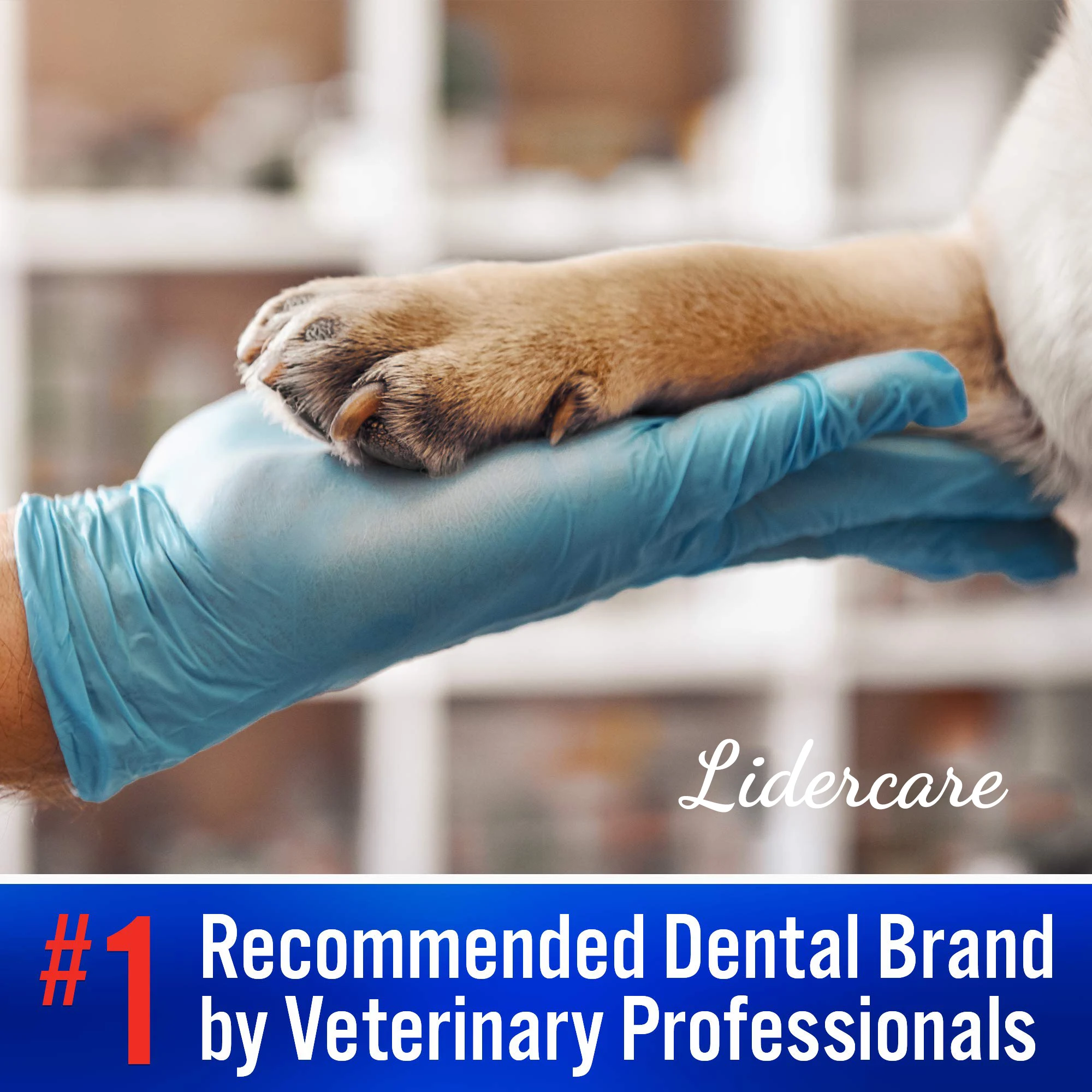 Custom Enzymatic Toothpaste Dentifrice Beef Flavor Saveur De Boeuf Toothpaste For Dogs Cats 70G Chiens Chats Tooth Paste