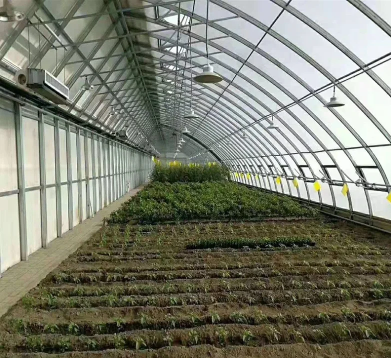 Manufacturer customized oval tube winter warm greenhouse seedling greenhouse flower greenhouse