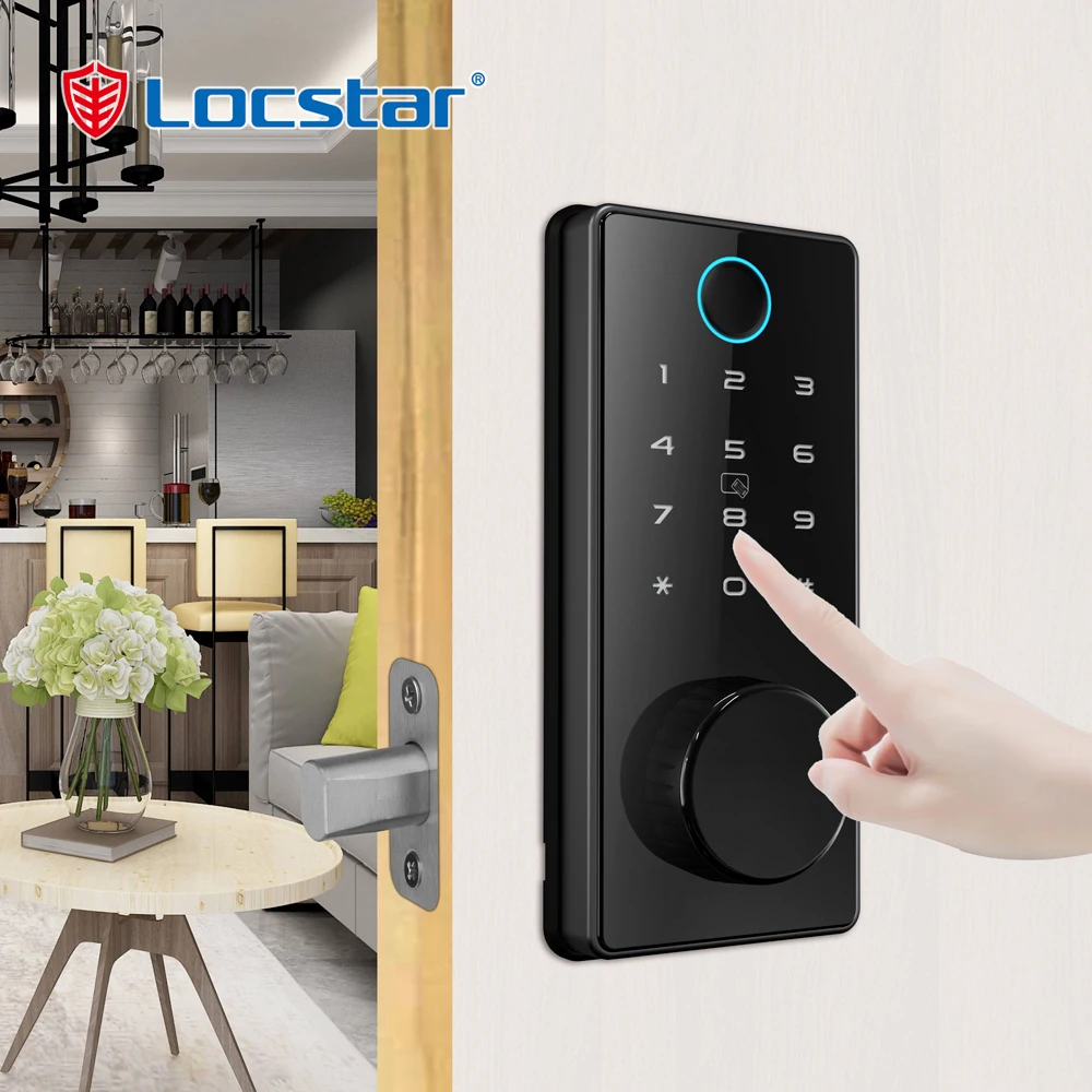 Electric Without Handle Smart Password Door Lock With App From Shenzhen Locstar Technology Coltd