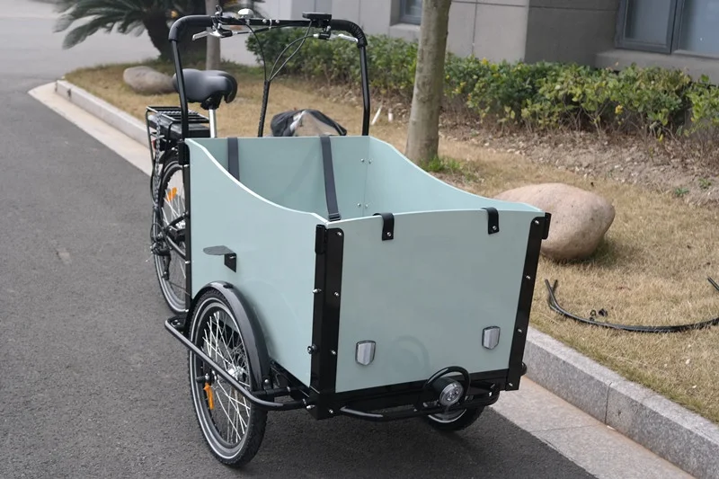 Cheap Price 250W 36V Cargo E Bike 3 Wheel Family Delivery Electric Cargo Tricycles