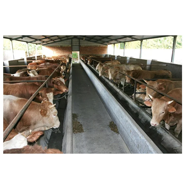 Недорогой оцинкованный сборный стальной каркас для домашнего скота Строительный домик крупного