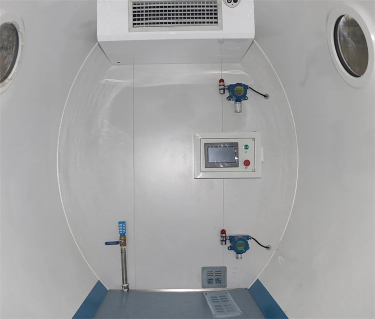 Animal Research Hard Type Altitude Chamber Hypobaric Chamber Low Pressure Test Chamber