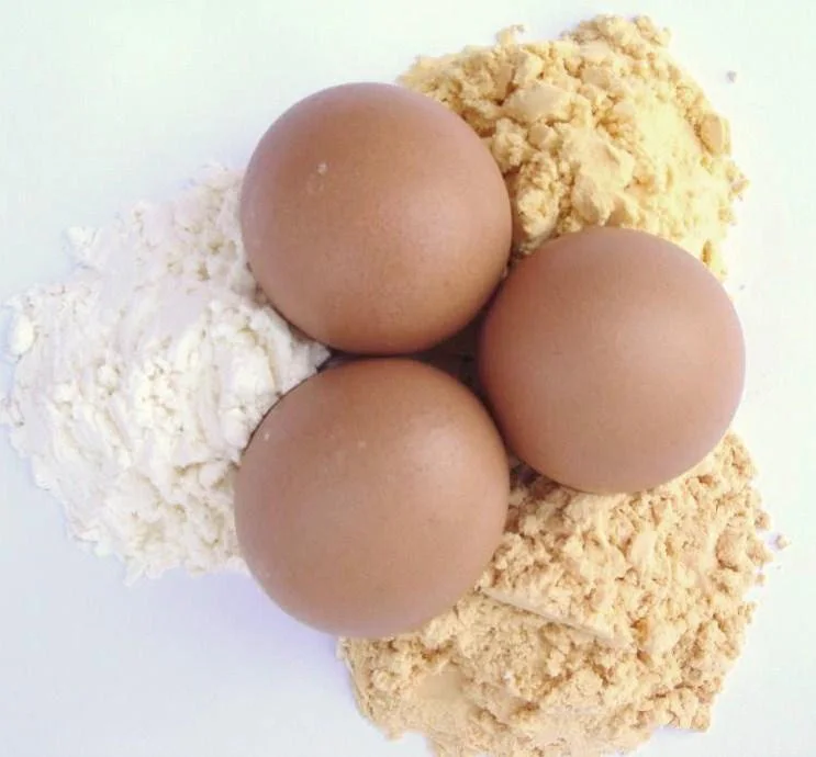Wholesale Egg White Powder Low Price powdered egg white/ white egg powder