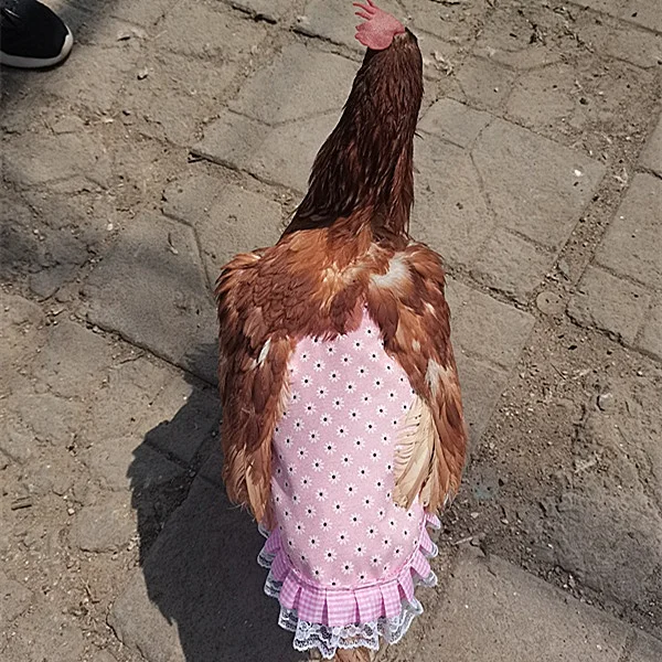 Pet Clothes Hen Apron Chicken Saddle Feather Fixed Clothes Back protection coat Double Chicken Apron