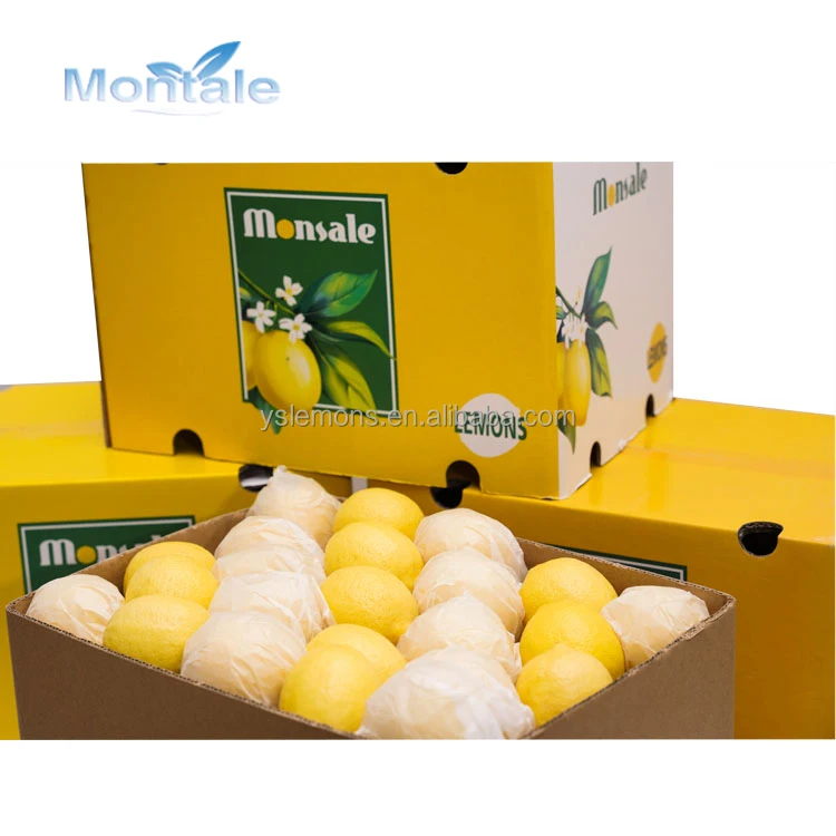 Best Prices For Montale Fresh Lemon Verna Fresh Lime Lemon Turkey Manufacturers