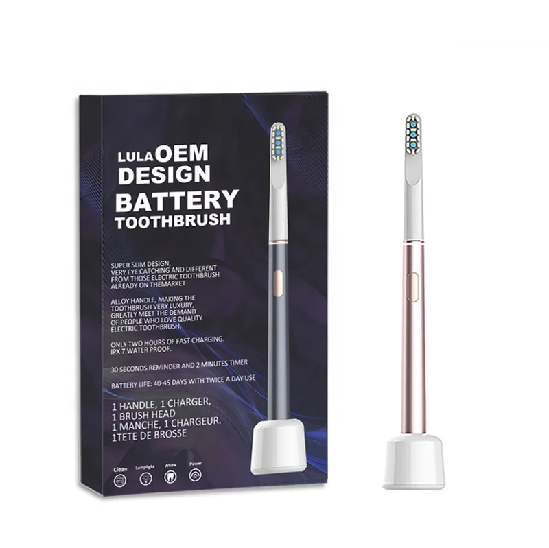 OEM Hot Sale 2024 Best Travel Electric Toothbrush With Dock Type C USB Charging Portable Electric Tooth Brush