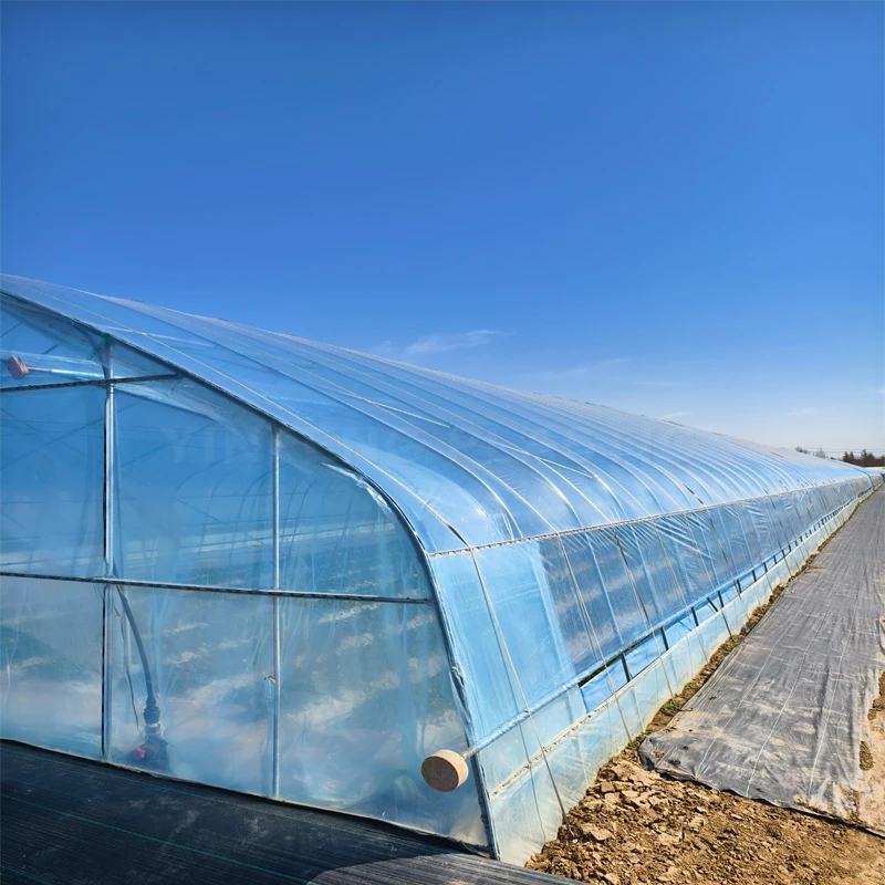 High quality Anti-fog 250mic agricultural greenhouses plastic backyard tunnel greenhouse for sale agriculture