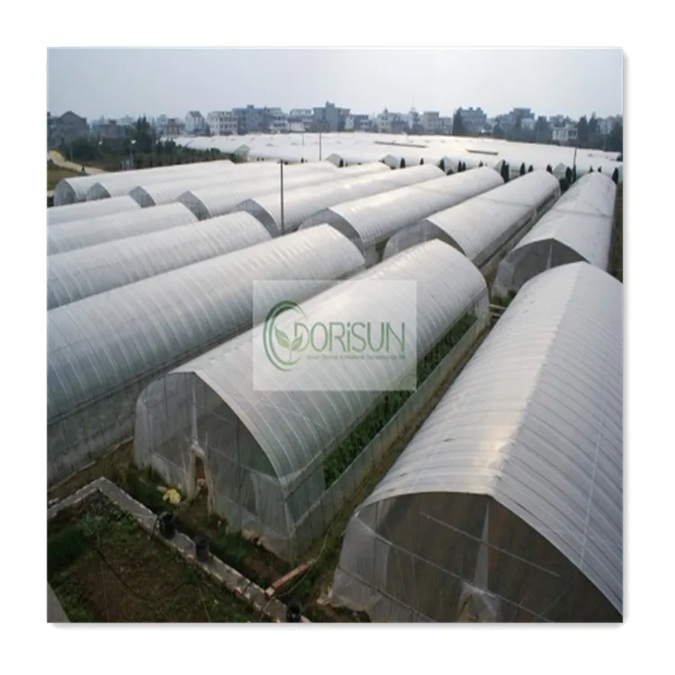Co2 Controller Erogator Hydroponics System Indoor Drop Irrigation Greenhouse for Meaty Plant