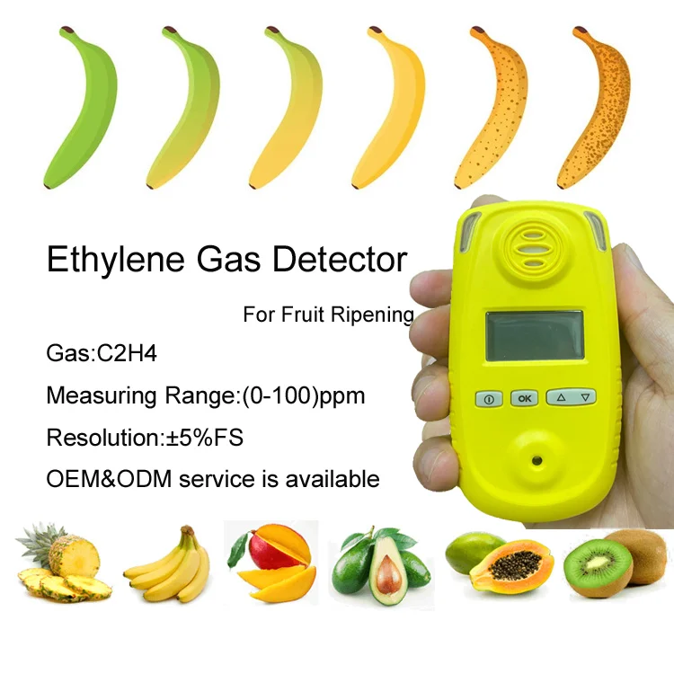 Ripening fruit handheld C2H4 gas analyzer electrochemical sensor 0-100ppm portable ethylene gas meter detector