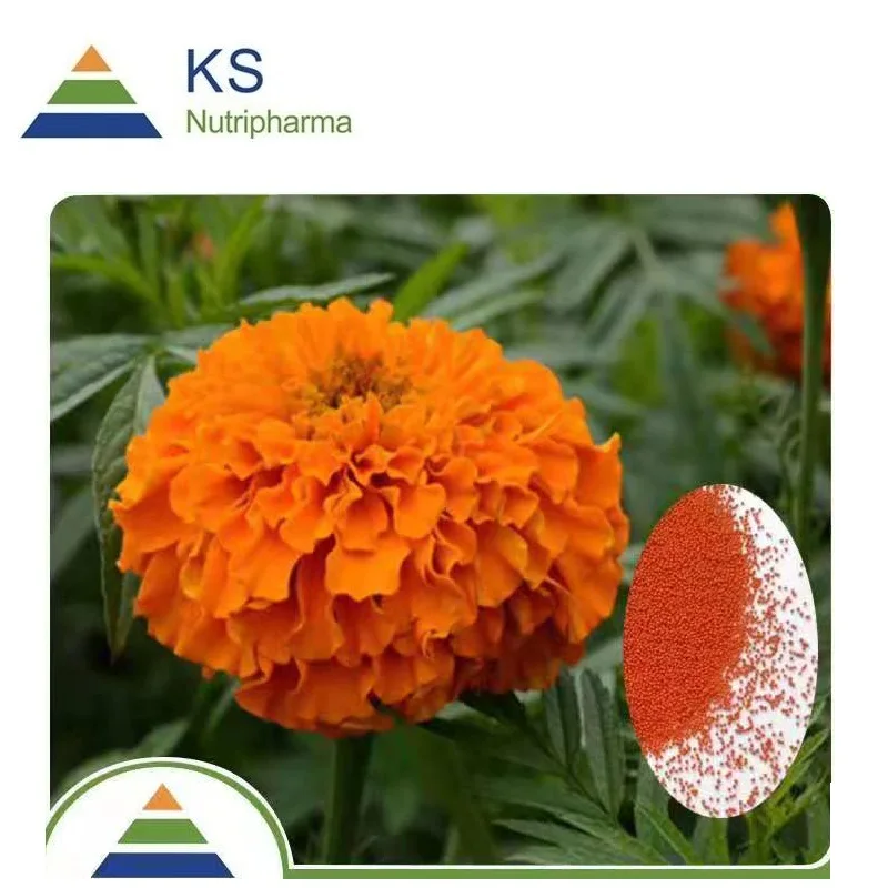 
Herbal extract type corn silk extract/marigold extract lutein zeaxanthin from marigold 