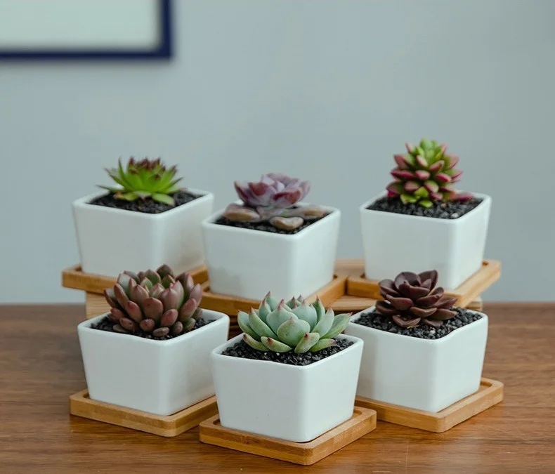 Sublimation DIY Home Ceramic Flowerpot with Bamboo Base for Office or Garden Desktop Tray Design Useful Sublimation Blank Pot