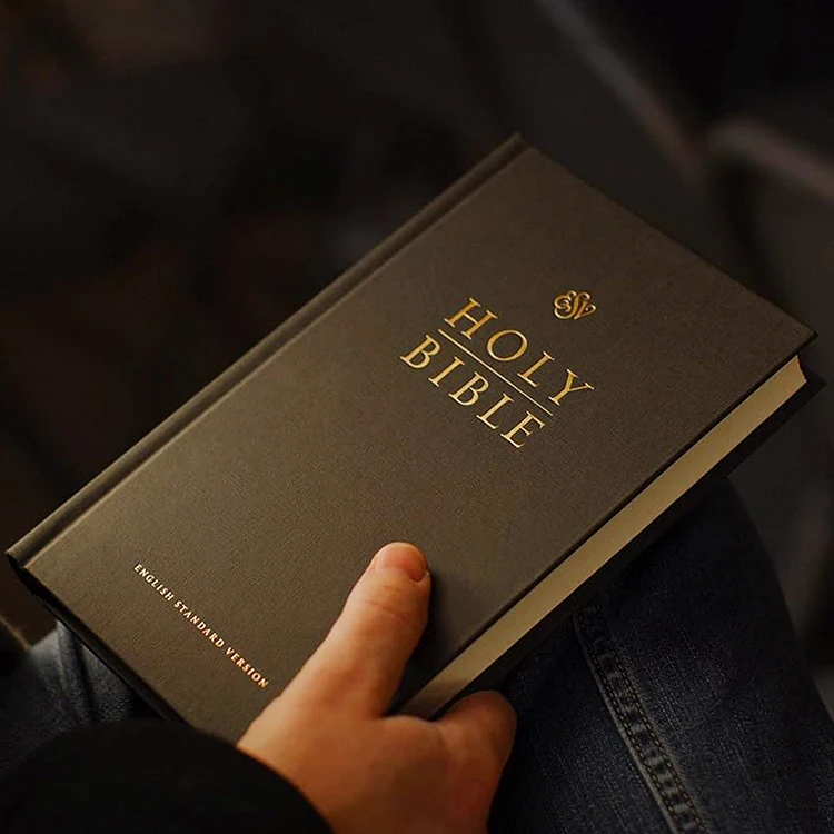 Индивидуальная твердая обложка на английском языке ESV biblia Holy kjv Библейский сервис печати книг
