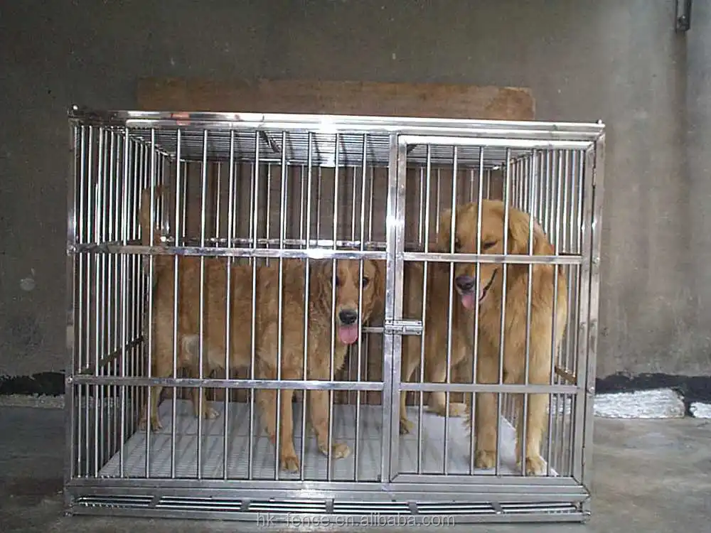 outdoor dog kennel to sale