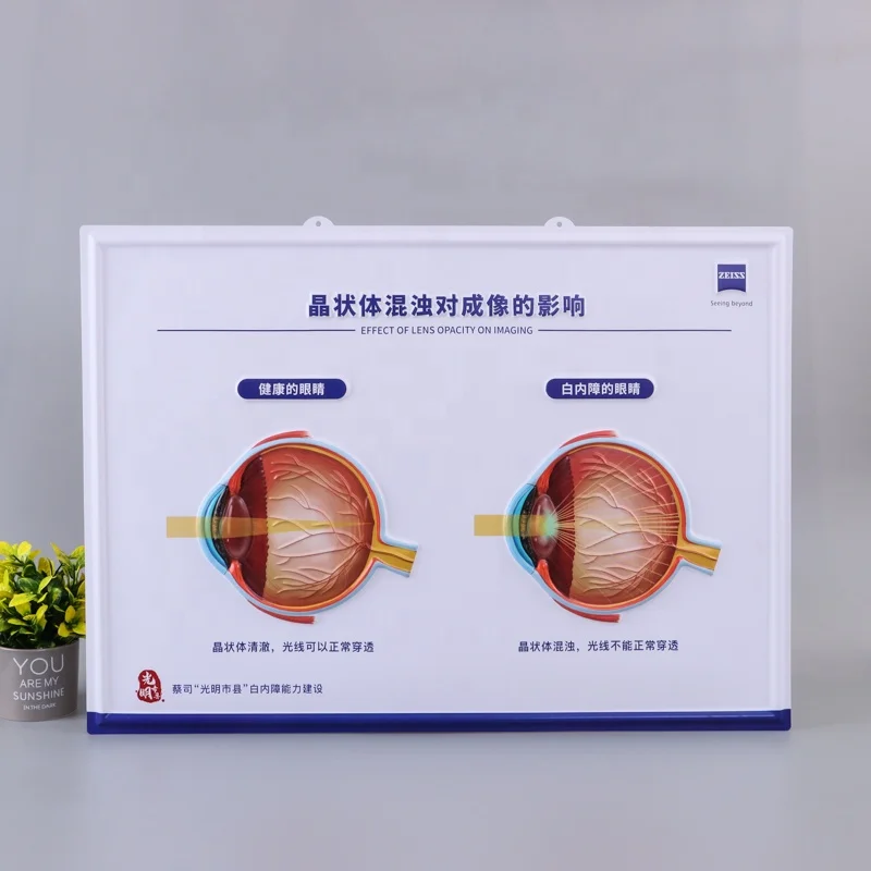 3D embossed Medical PVC Wall Chart