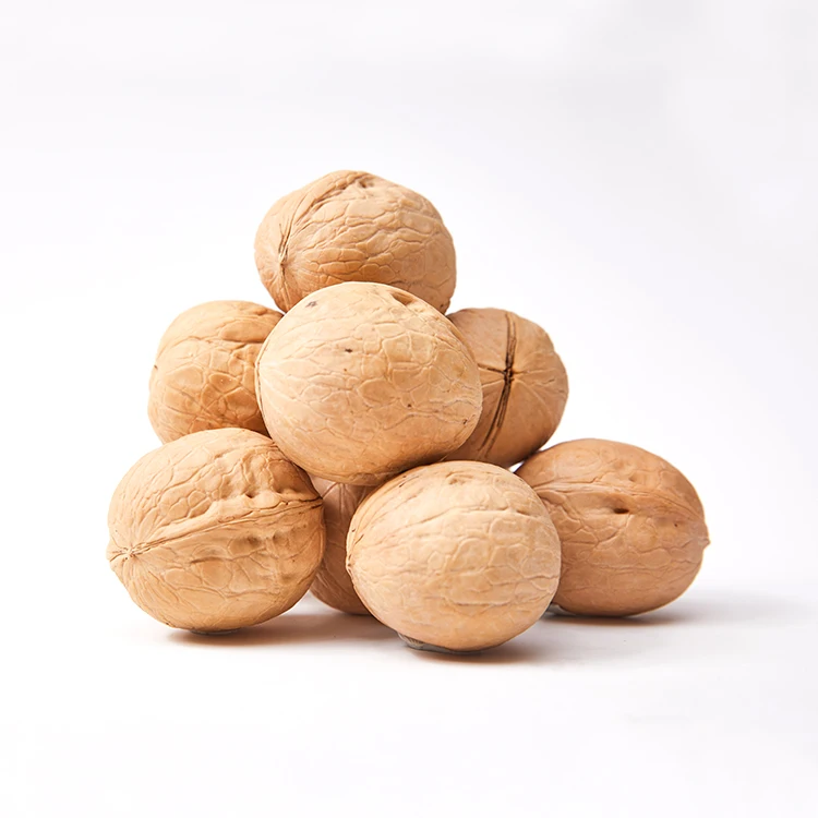 100% Source White Walnut Bulk Inshell Walnuts In Shell