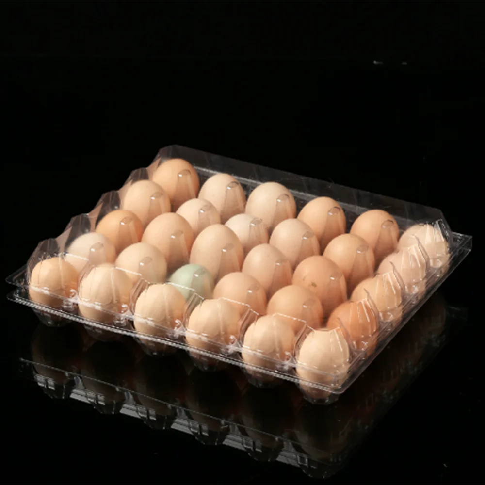 High Quality Multi-Colored Convenient Plastic Circle  Eggs Boxes for Food Shop/Restaurant