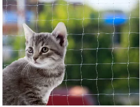 Petstar высокое качество Заводская поставка сеть для кошек на балконе применяется к дверям окнам и