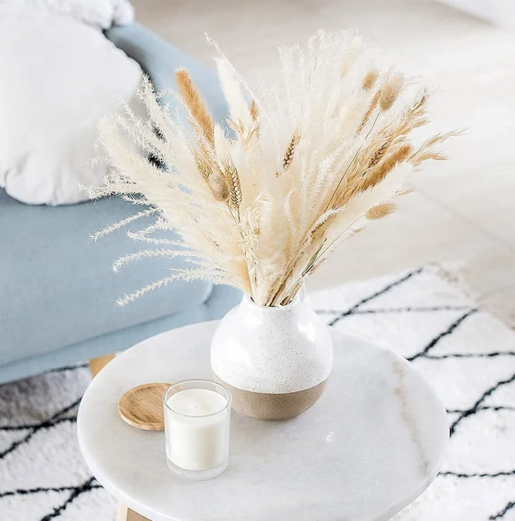 Factory Pampas White Color Wedding Flower Arrangements Home Decor Dried Natural Small Big Large Pampas Grass