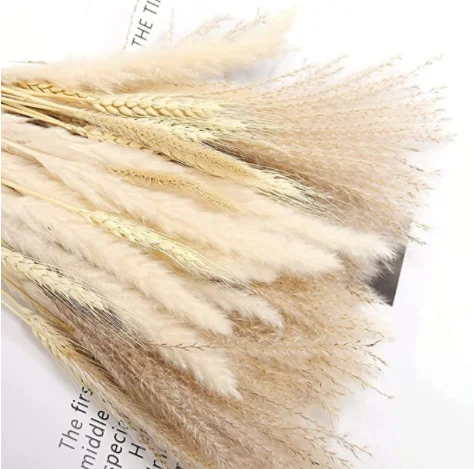 2022 dried flowers natural flowers 30pcs 45 cm pampas grass flora boho wedding supplies