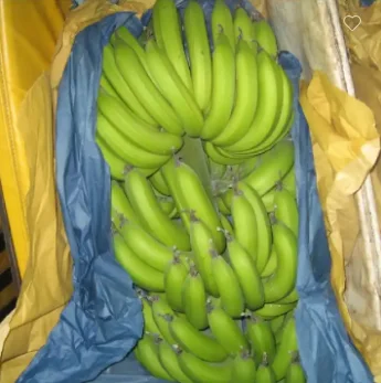 Custom logo date palm banana fruit grow protection cover wrapping paper bag