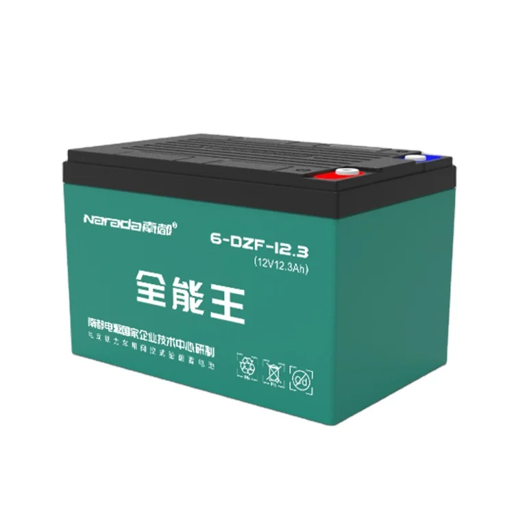 Narad 12V 45Ah 5 days delivery New Type Motorized Transport Cargo Auto Rickshaw  Three Wheels Cargo Motorcycle lead acid battery