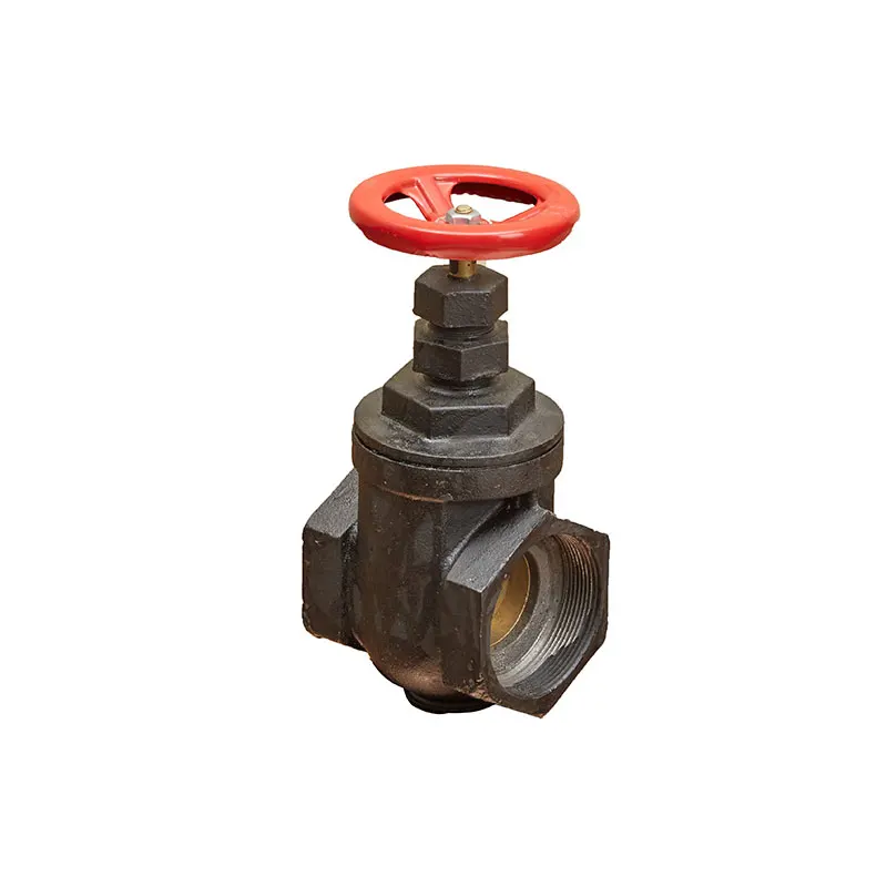 Valve Female thread DN15-DN100 Cast Iron Gate Valve for Control Flow Water