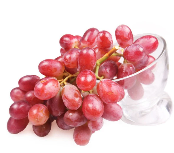
new season high quality red globe grapes 