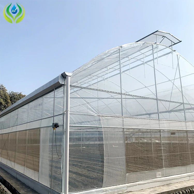 MYXL outdoor greenhouse farming vegetable metal frame green house plastic agriculture commercial