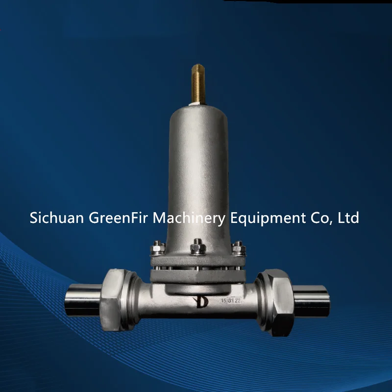 Gas Hydrogen Gas Safety Valve LPG Natural PTFE General Manual Water Filtration System Valves Temperature & Pressure Relief Valve