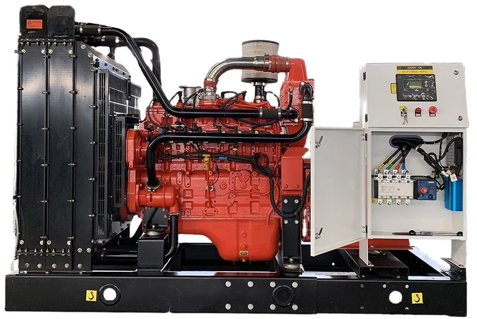 water cooled silent 25kw 30kw 50kw 80kw 100kw 120kw lpg generator natural gas generator with chp
