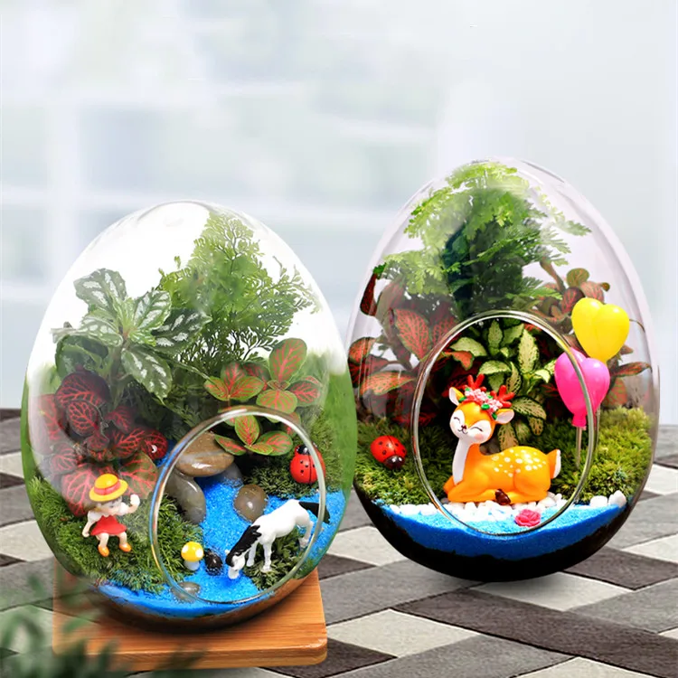 Wholesale Plant Propagation Vase Moss Glass Container Clear Handmade Micro Landscape Glass Egg Terrarium