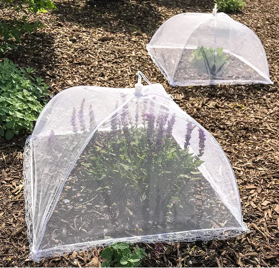 Reusable and Collapsible Food Cover Tent Mesh Cover for Food for Parties Picnics BBQ