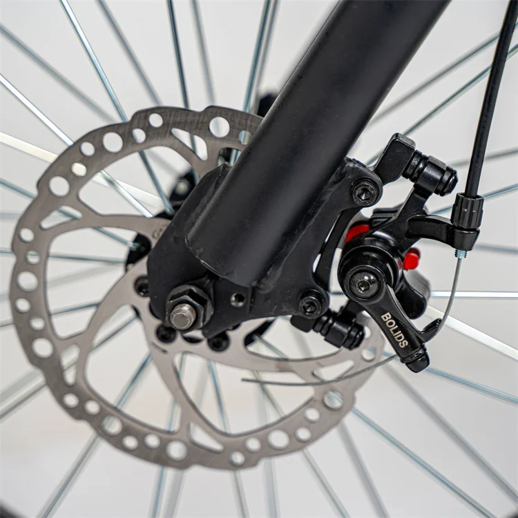 Hot Selling Vintage Style Steel 1620*250*760Mm Electric Chopper Bike For Beach