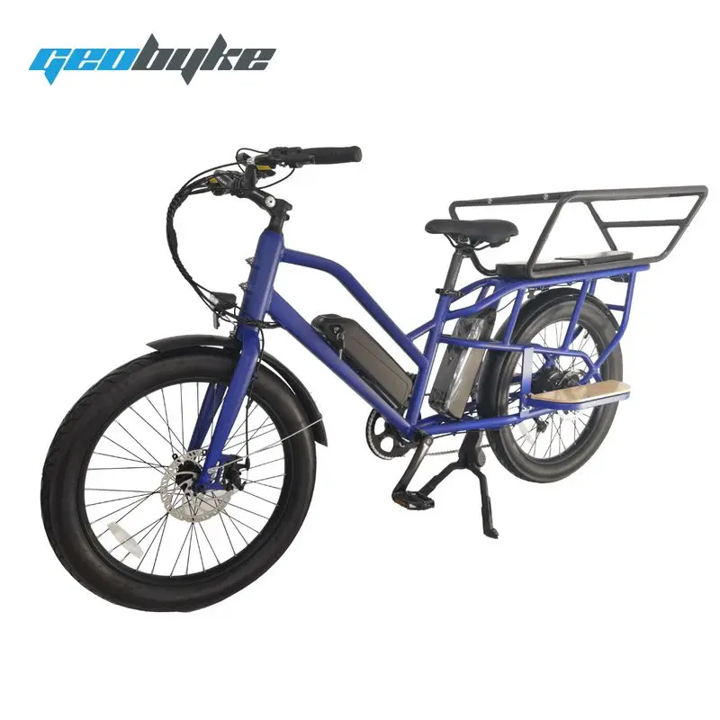 500w Long Range Food Delivery Electric Cargo Bike with Double Lithium Battery