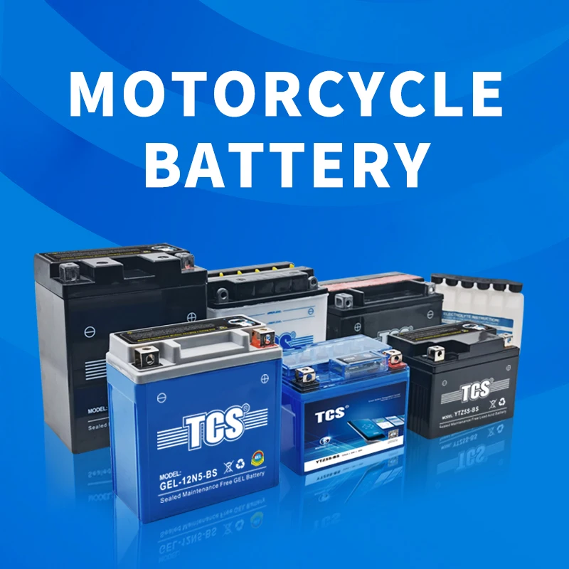 TCS 12V 4AH Dry Charged Maintenance Free Motorcycle Battery for Most motorcycles