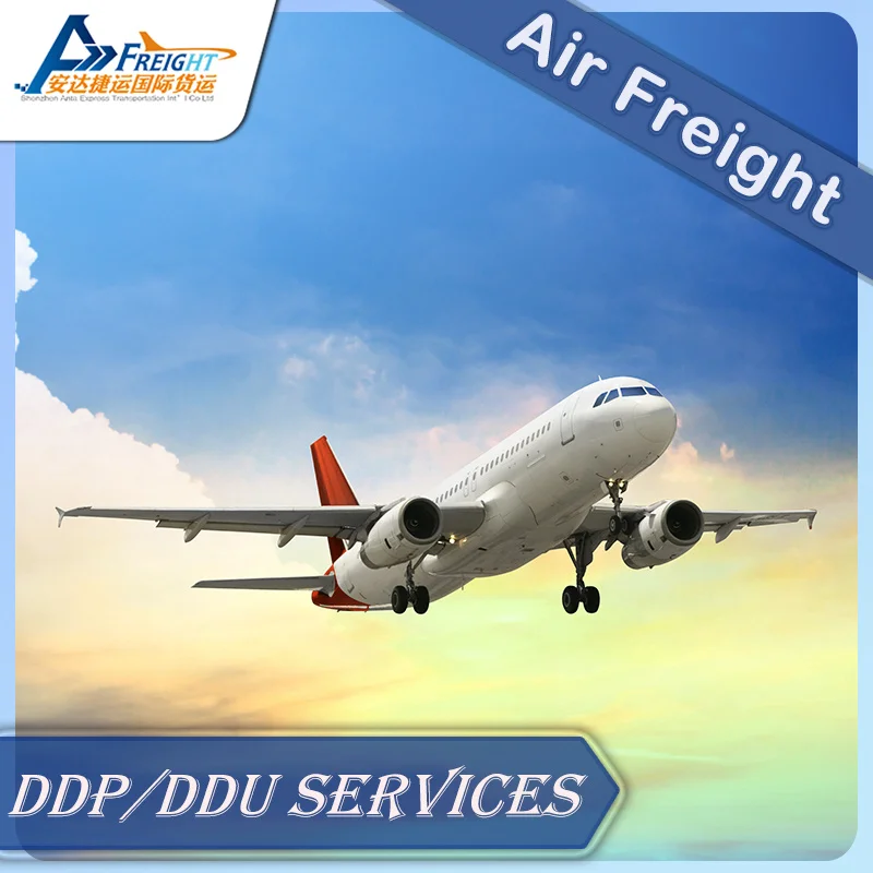 Двухсторонний клиентозазор от двери до Шэньчжэнь Гуанчжоу Австрии воздушными морскими