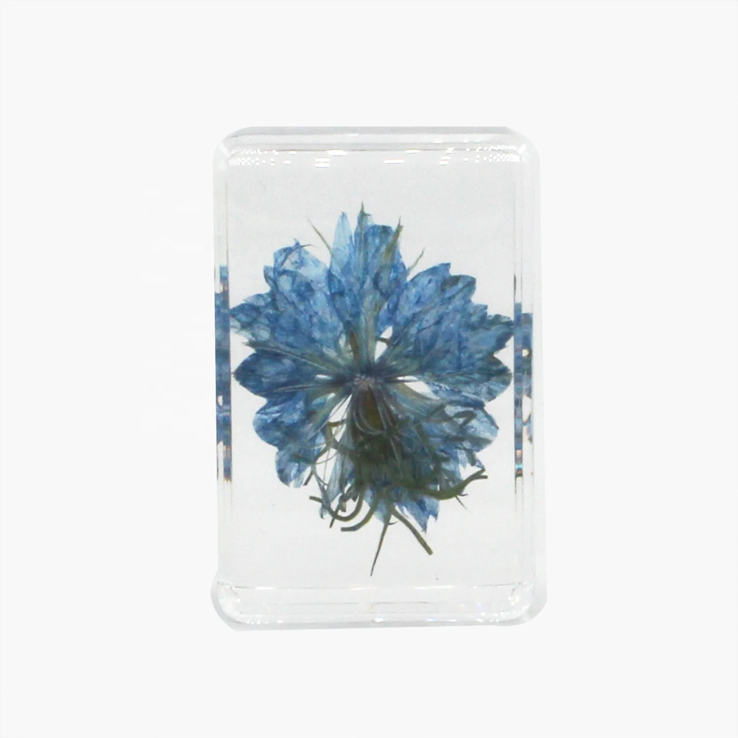 Nature botanical specimen epoxy resin flower paperweight lucite unique decor crystal craft